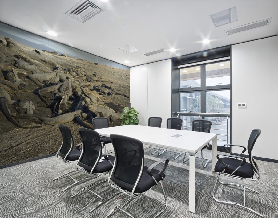 Group of Marine Iguanas Punta Espinosa Fernandina Island Galapagos Islands Ecuador Wall Printing