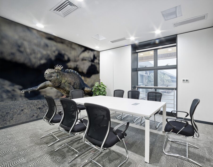 Marine Iguana Amblyrhynchus cristatus walking Punta Espinosa Fernandina Island Galapagos Islands Ecuador Wall Printing