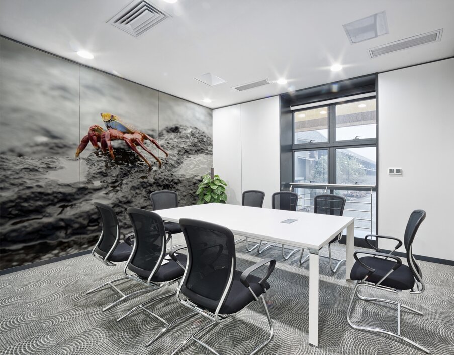 Sally Lightfoot crab Grapsus grapsus Urbina Bay Isabela Island Galapagos Islands Ecuador Wall Printing