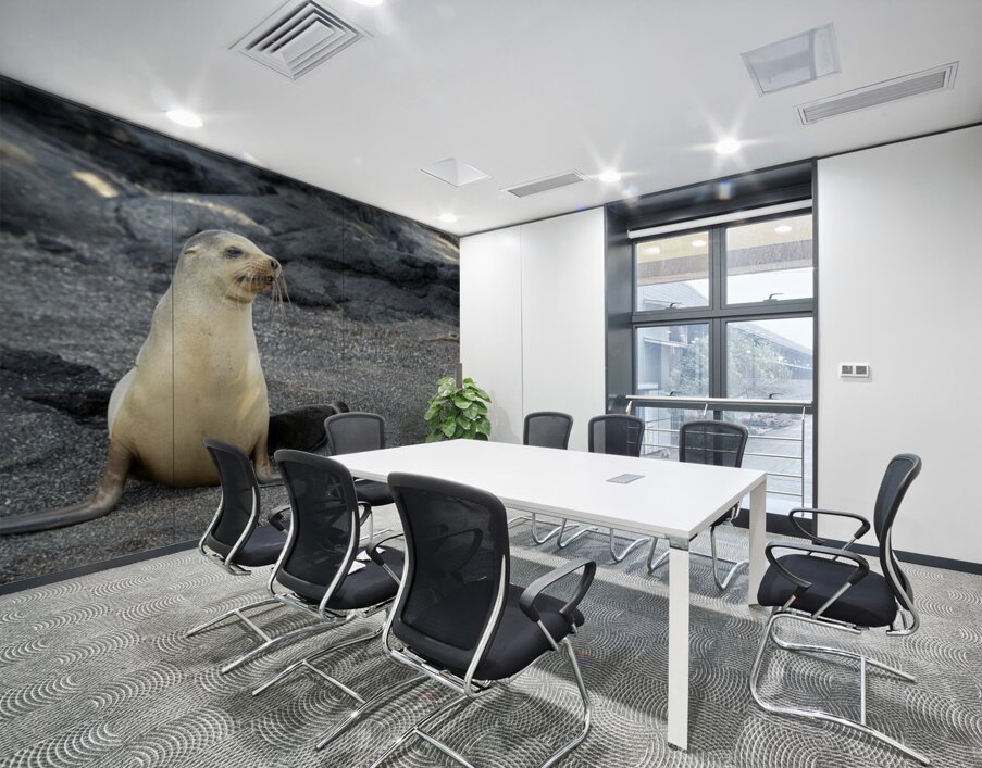 Galapagos sea lion female with pup Punta Espinosa Fernandina Island Galapagos Islands Ecuador Wall Printing