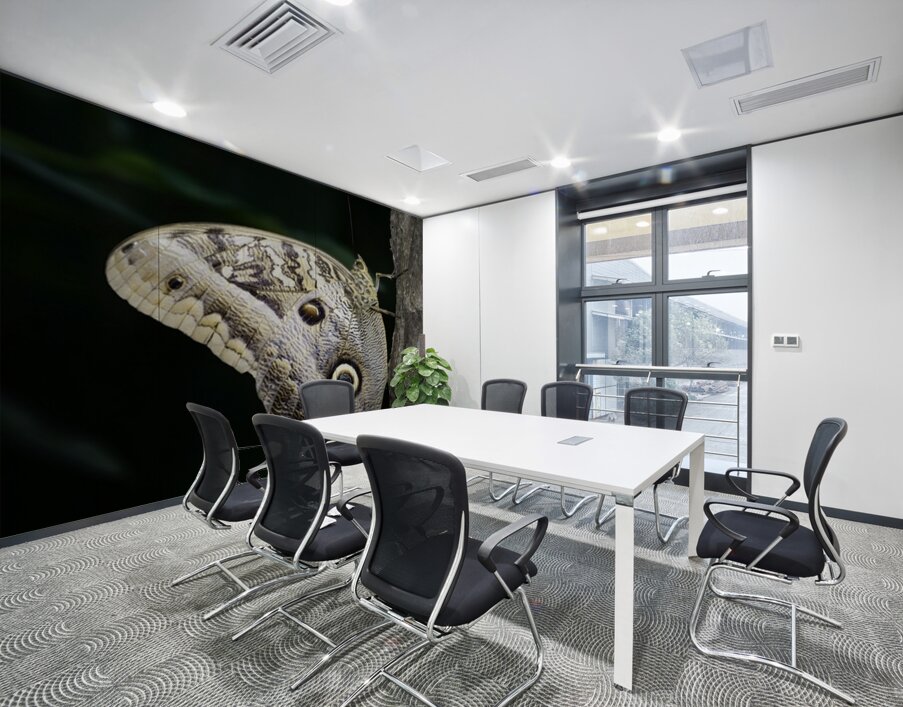 Owl butterfly Caligo idomeneus at the La Selva Jungle Lodge  Amazon Ecuador Wall Printing