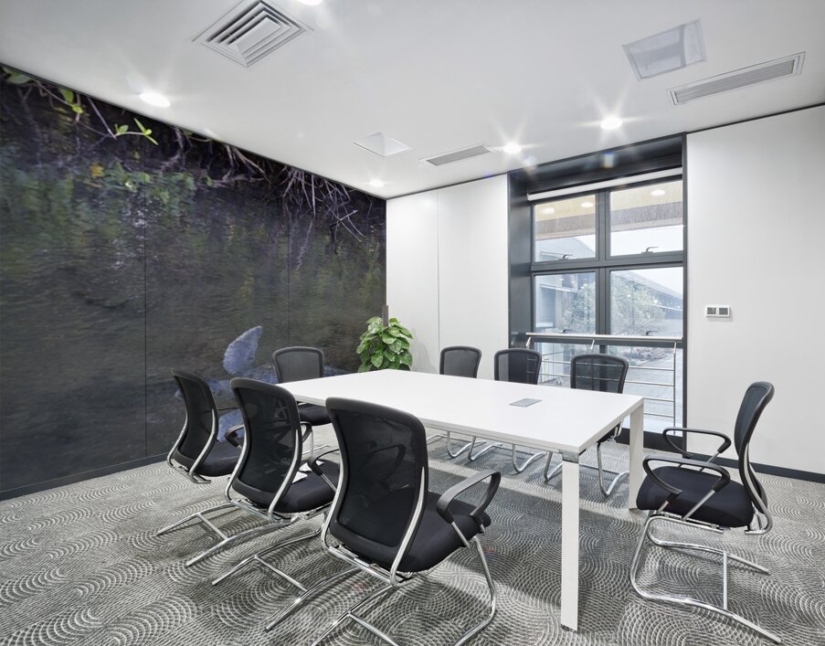 Galapagos green turtle Chelonia mydas agassisi Elizabeth Bay Isabela Island Galapagos Islands Ecuador Wall Printing