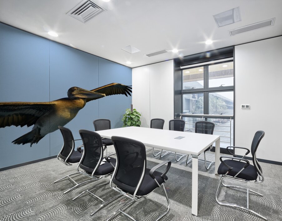 Brown Pelican Pelecanus occidentalis Elizabeth Bay Isabela Island Galapagos Islands Ecuador Wall Printing