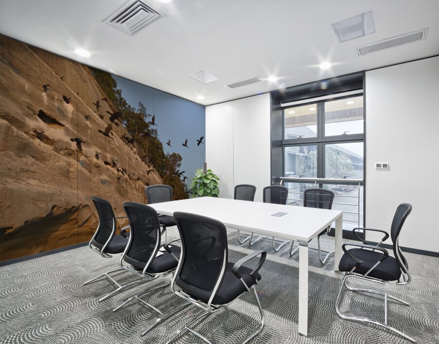 CORMORANTS FLYING ABOVE SCULPTED SANDSTONE CLIFFS Wall Printing