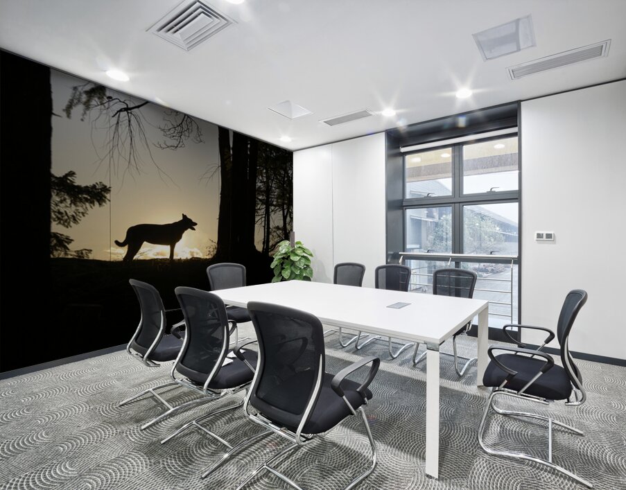 Large dog silhouetted at sunset - Wallace Island Wall Printing