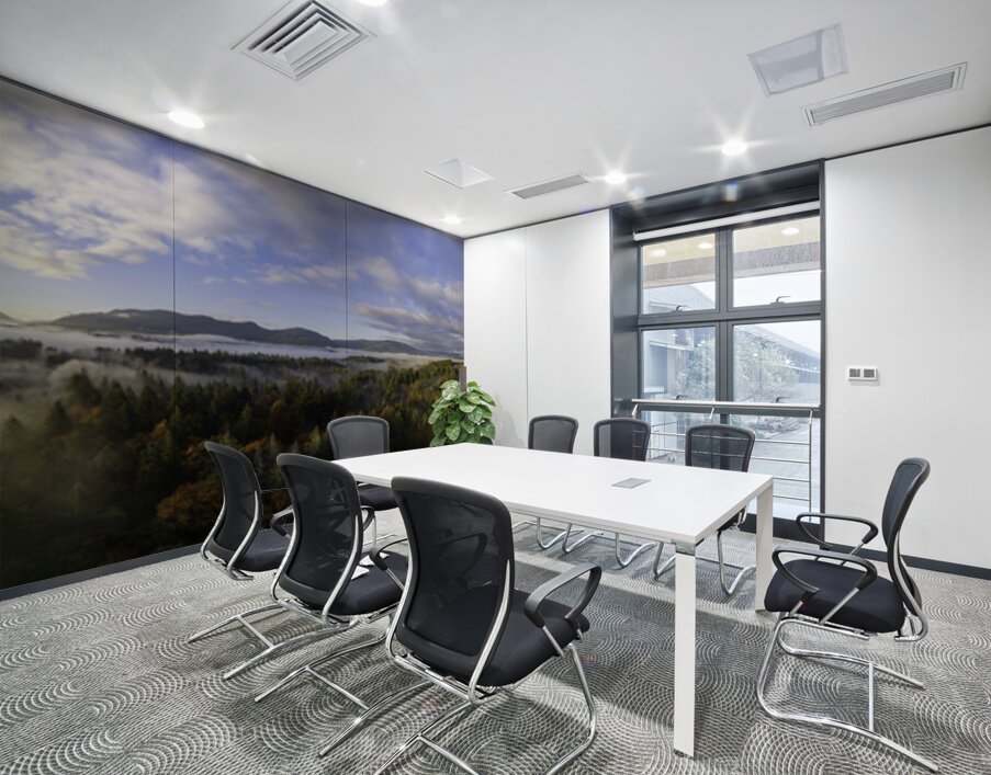 Spring Rays - Vancouver Island Wall Printing