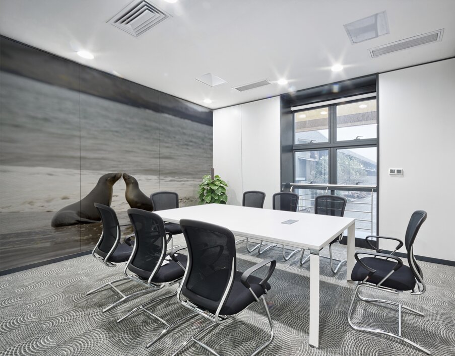 Galapagos sea lions Zalophus wollebaeki playing in the waves on Playa Espumilla. Santiago Island. Galapagos Islands. Ecuador Wall Printing