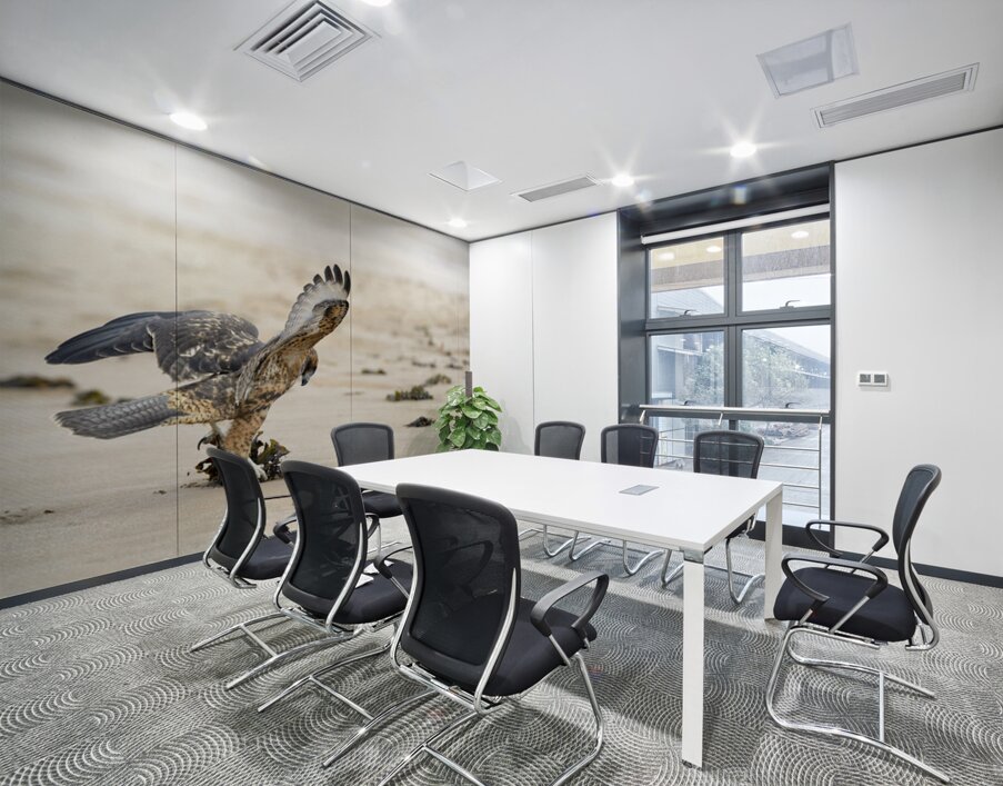 Galapagos Hawk landing on Espumilla Beach. Santiago Island. Galapagos Islands. Ecuador Wall Printing