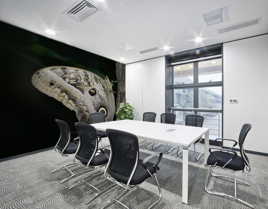 Owl butterfly Caligo idomeneus. Amazon. Ecuador Wall Printing