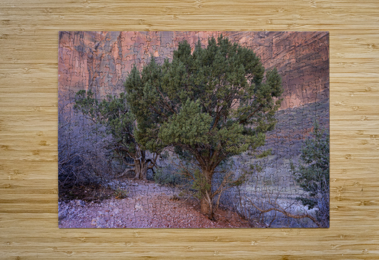 Zion National Park Utah Kevin Oke Puzzle printing