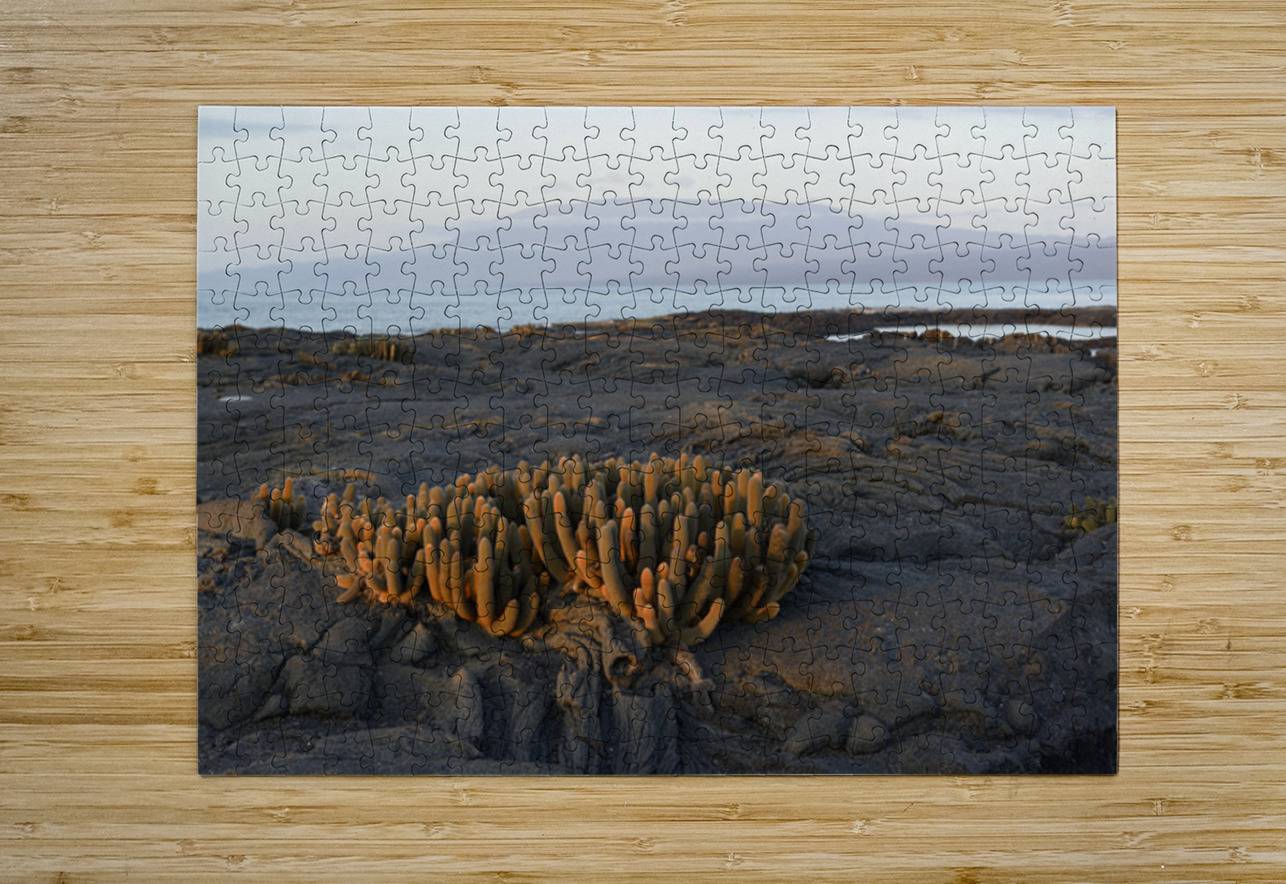 Lava Cactus Kevin Oke Puzzle printing