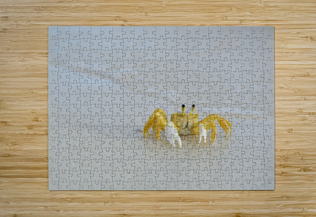Ghost Crab Kevin Oke Puzzle printing
