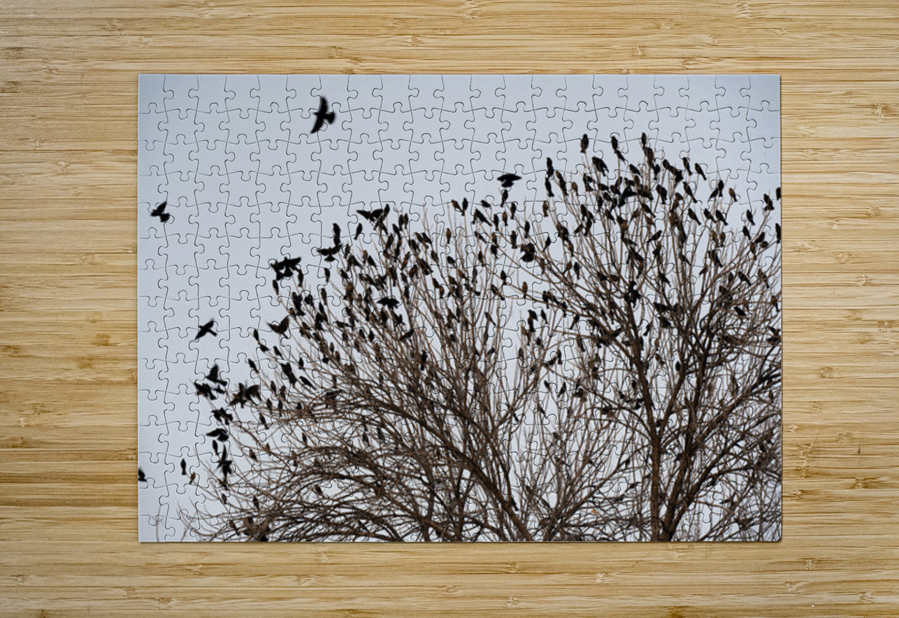 Birds in Flight Kevin Oke Puzzle printing