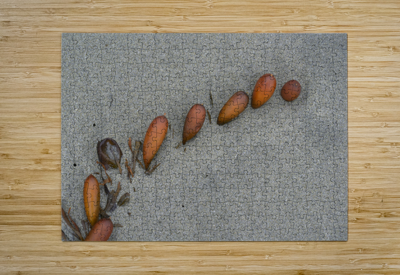 Seaweed floats - Florencia Beach Kevin Oke Puzzle printing