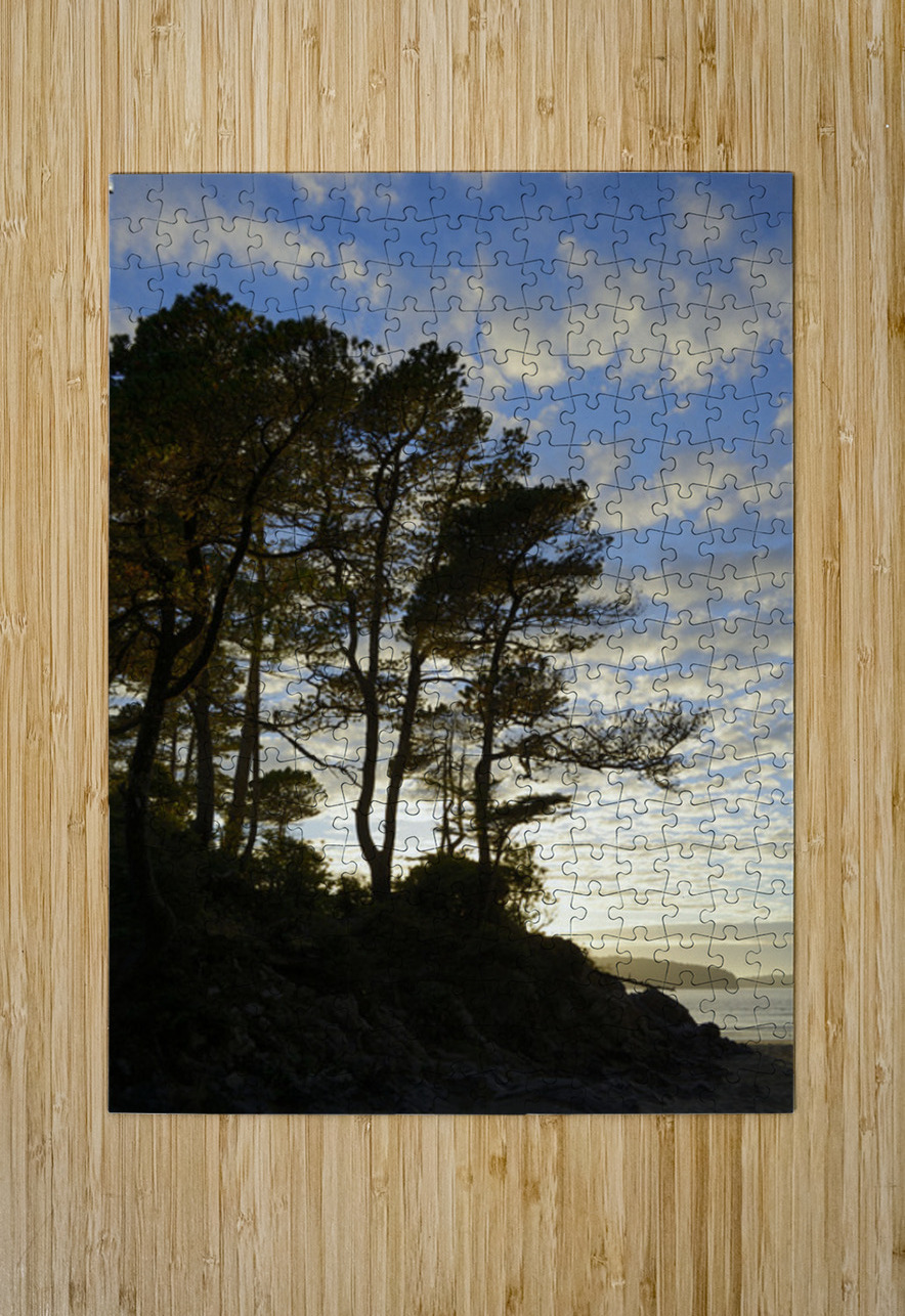 Gnarled trees at sunset Kevin Oke Puzzle printing