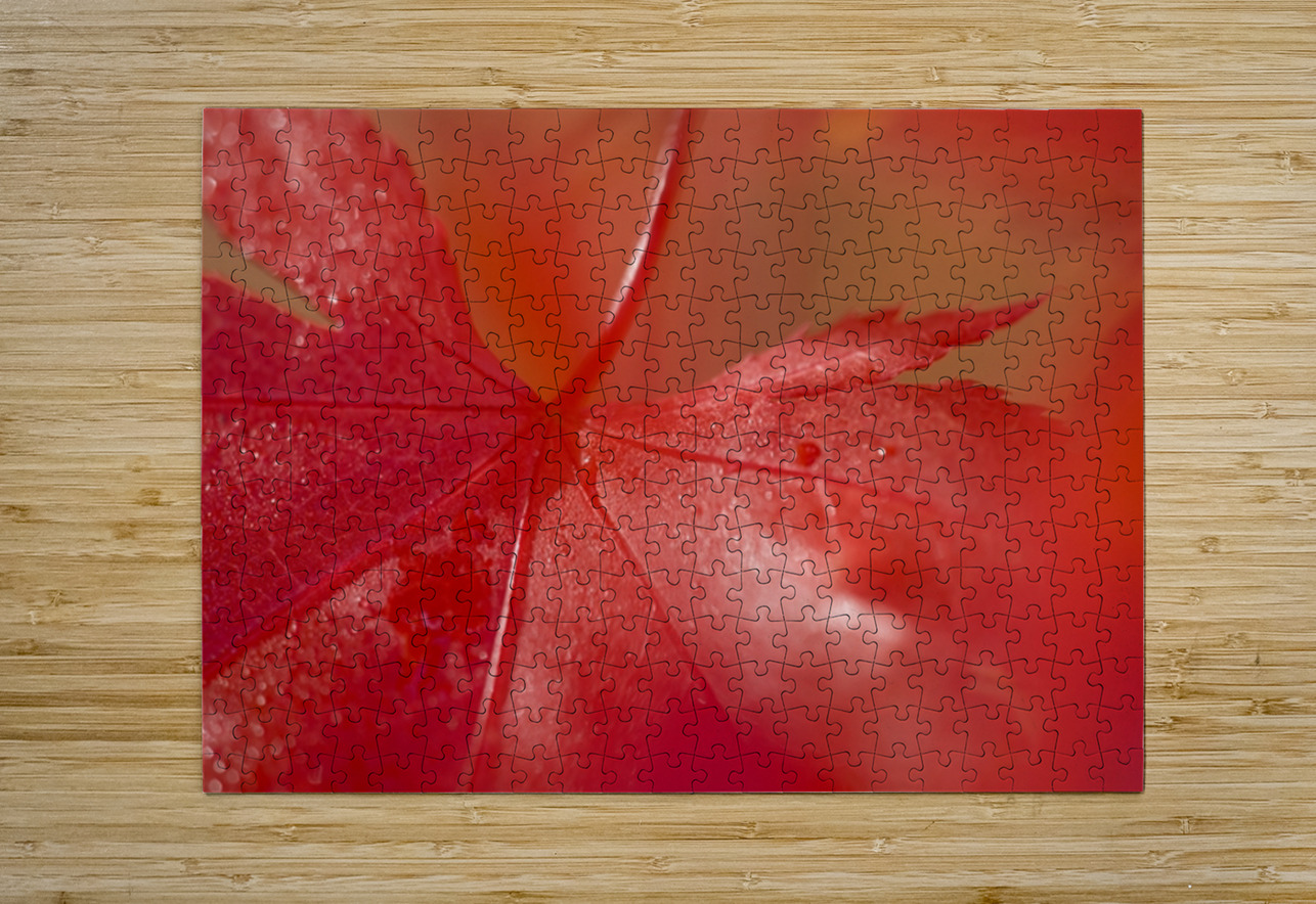 KO 50411 1 Kevin Oke Puzzle printing