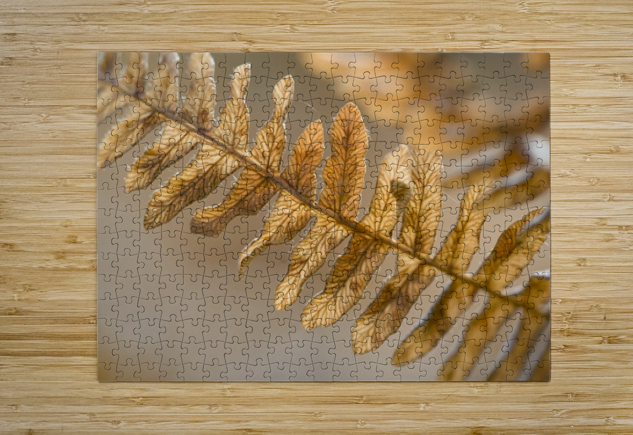 KO 50457 1 Kevin Oke Puzzle printing