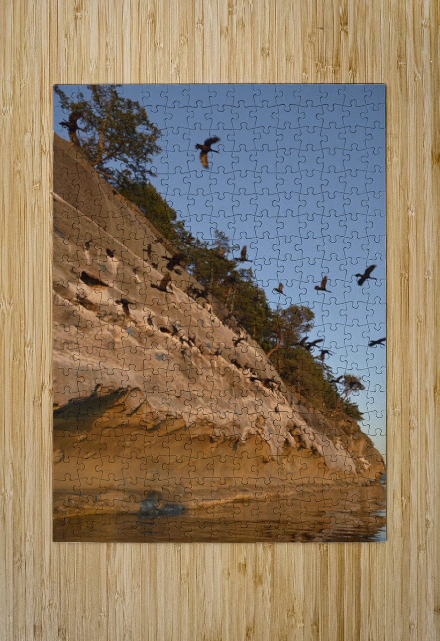 CORMORANTS FLYING ABOVE SCULPTED SANDSTONE CLIFFS Kevin Oke Puzzle printing