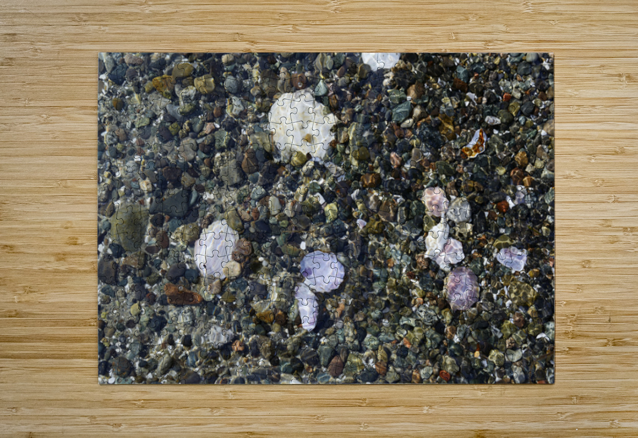 Detail image of rocks and shells on the beach Kevin Oke Puzzle printing