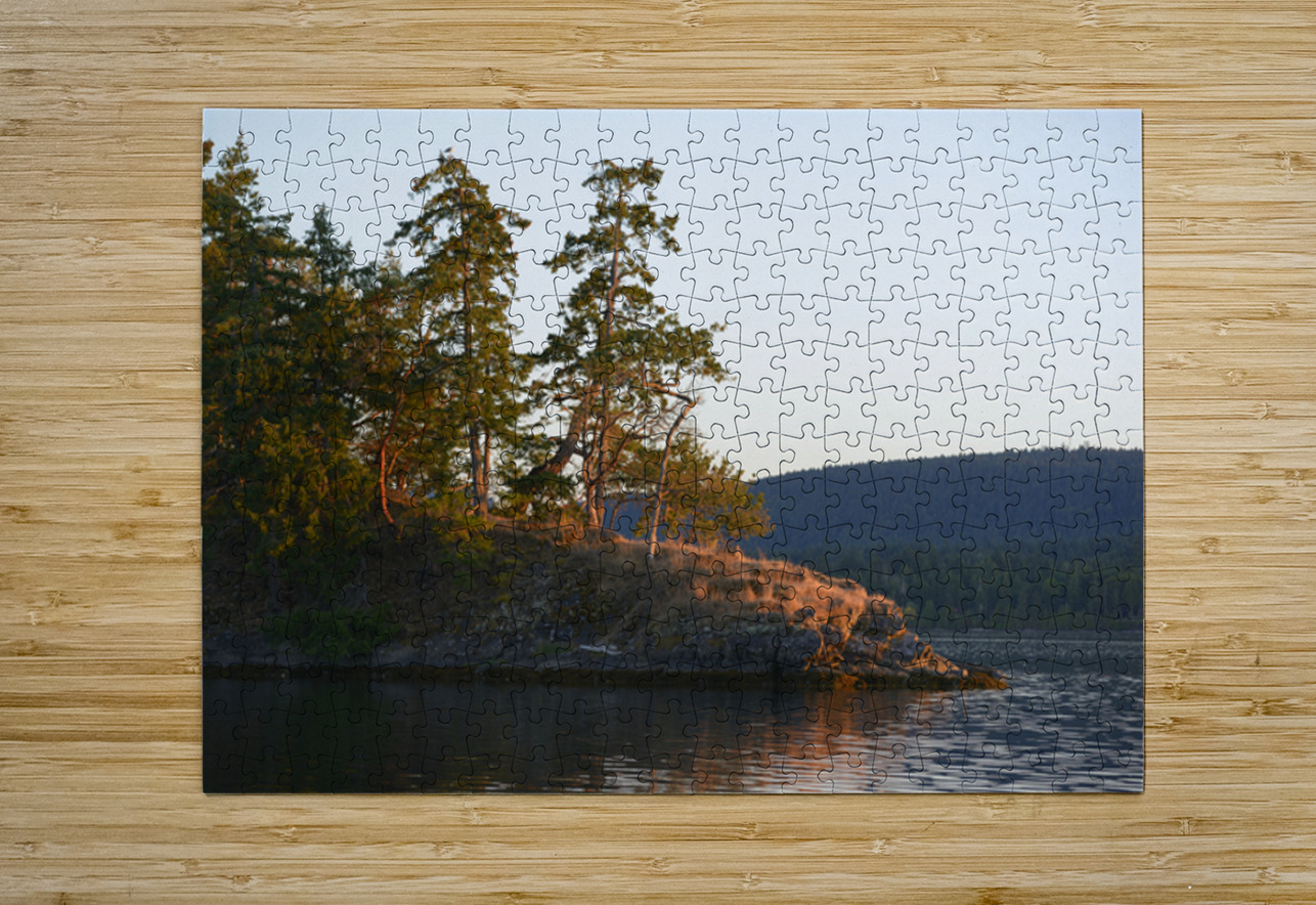 Arbutus and fir trees on the point at Conover Cove Kevin Oke Puzzle printing