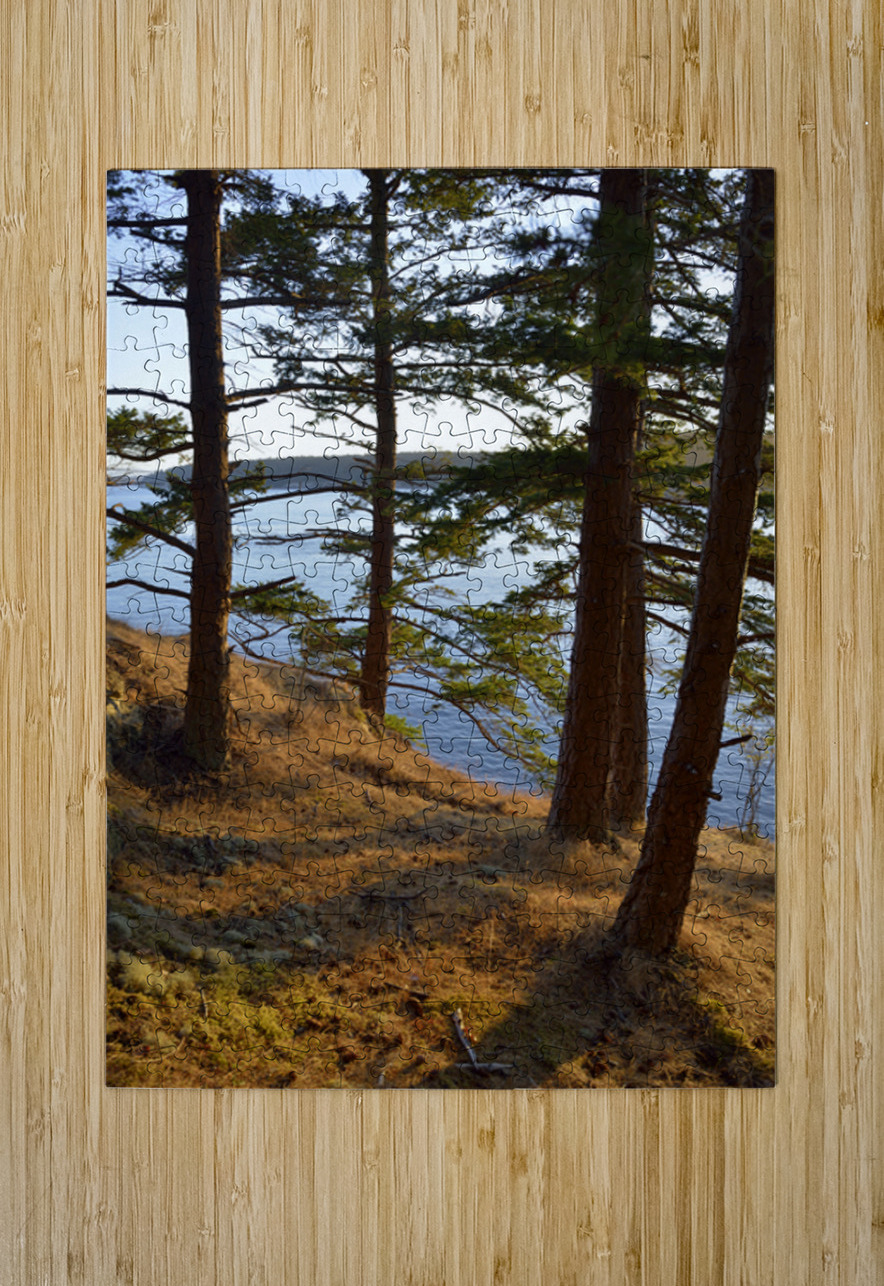 Fir trees on a grassy hillside. James Island Kevin Oke Puzzle printing