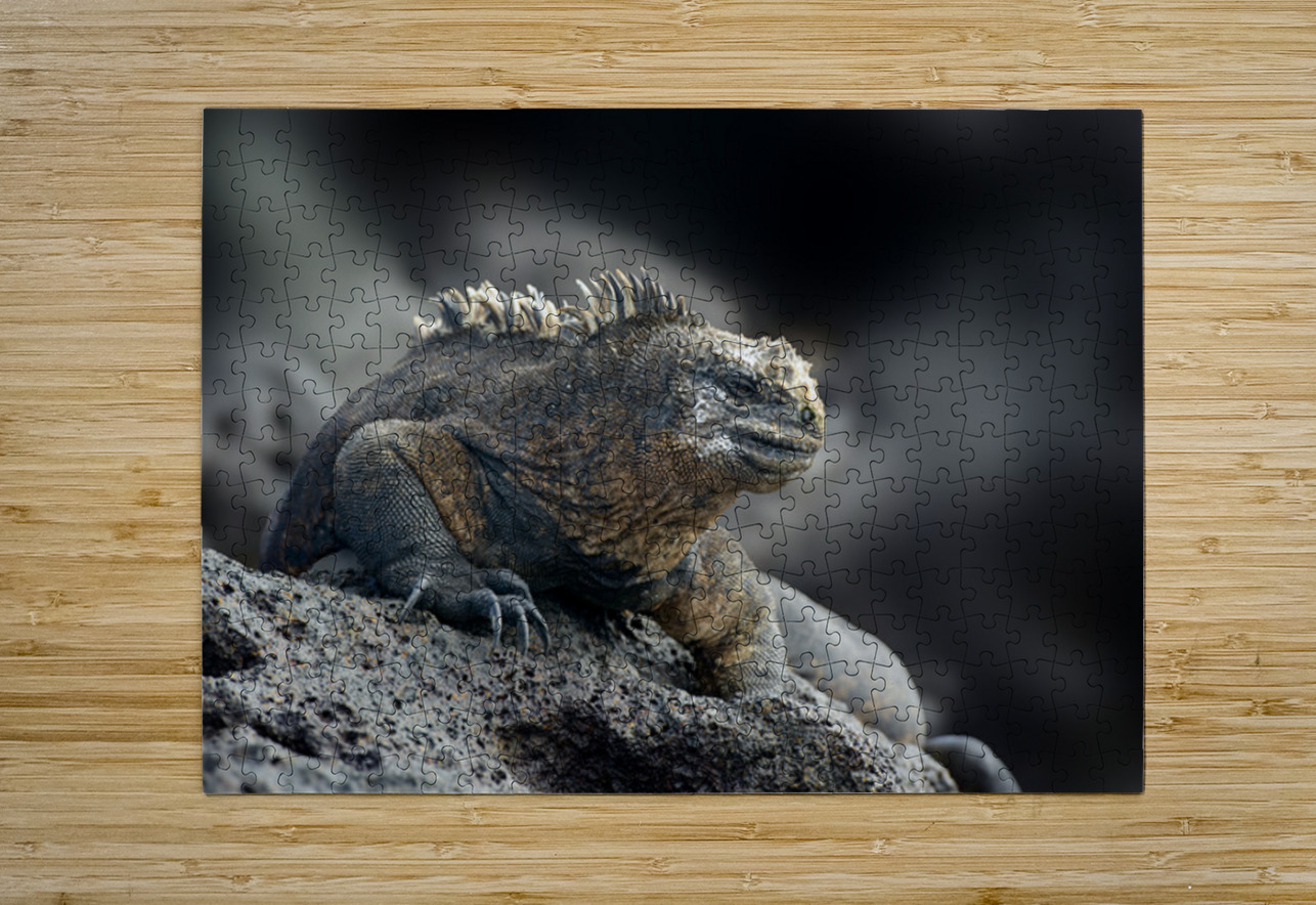 KO EC 9612 Kevin Oke Puzzle printing