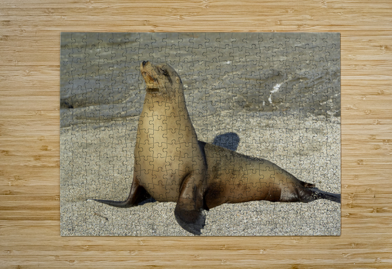 KO EC 13710 Kevin Oke Puzzle printing