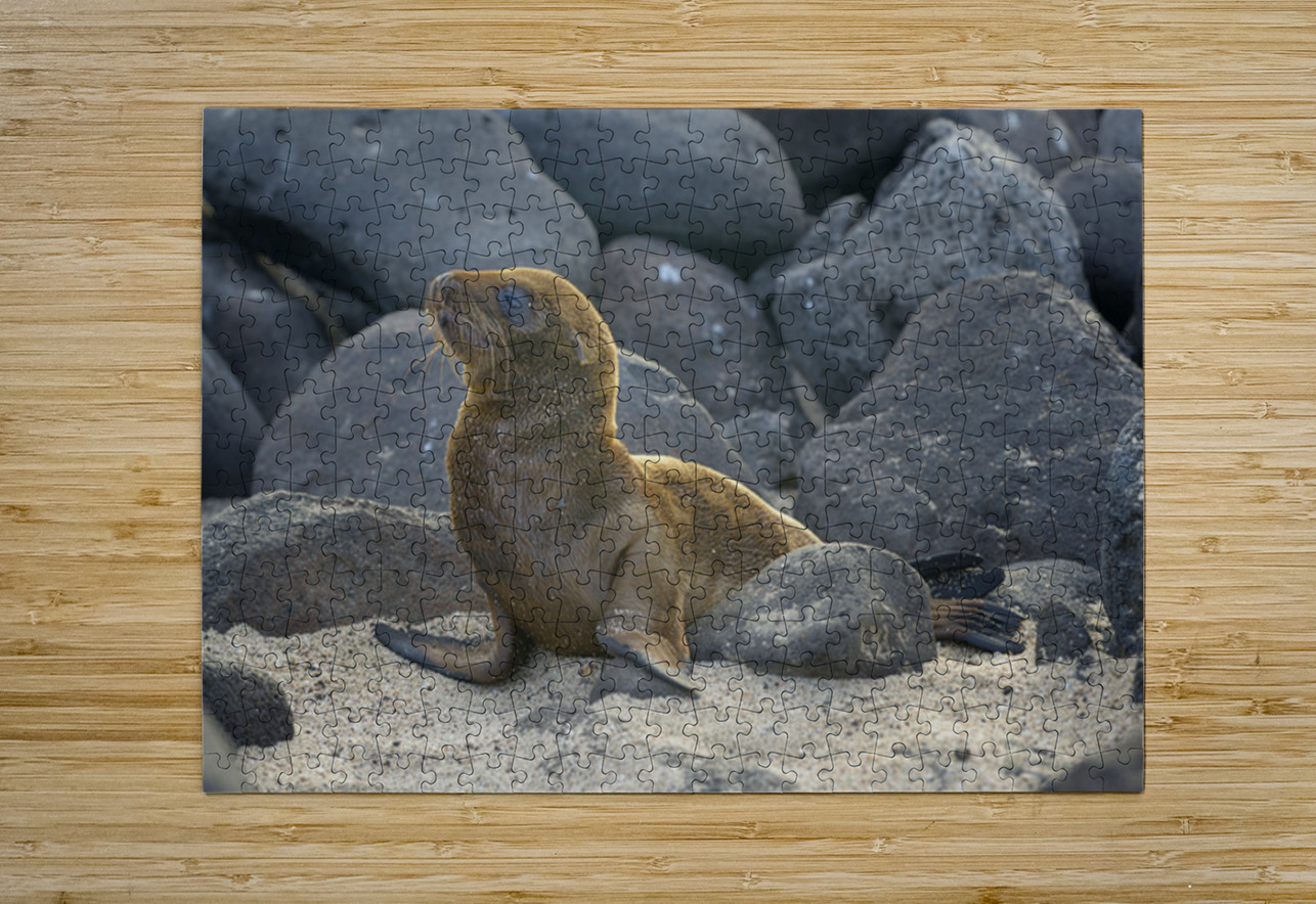 KO EC 14065 Kevin Oke Puzzle printing