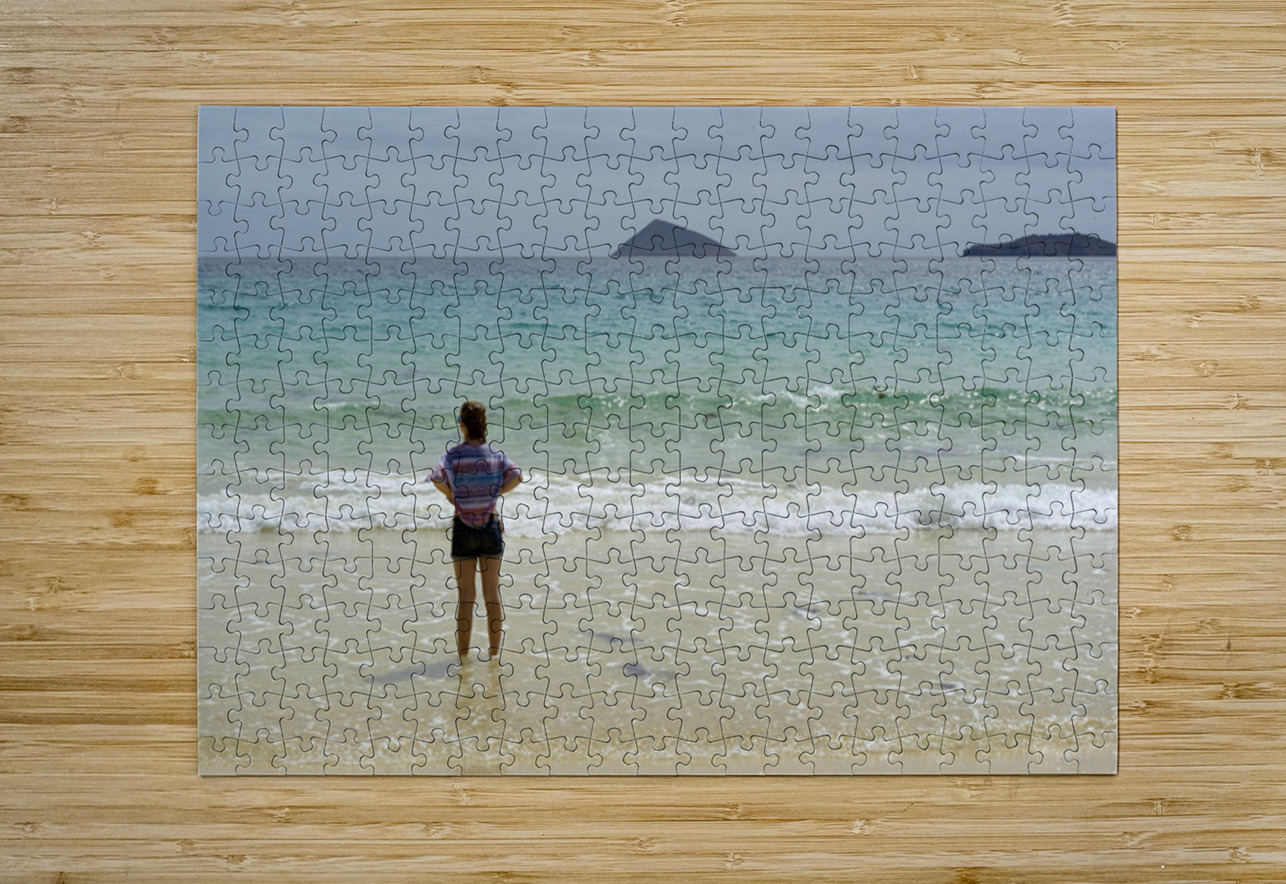 Looking out to sea at Punta Cormorant Floreana Island Galapagos Islands Ecuador Kevin Oke Puzzle printing