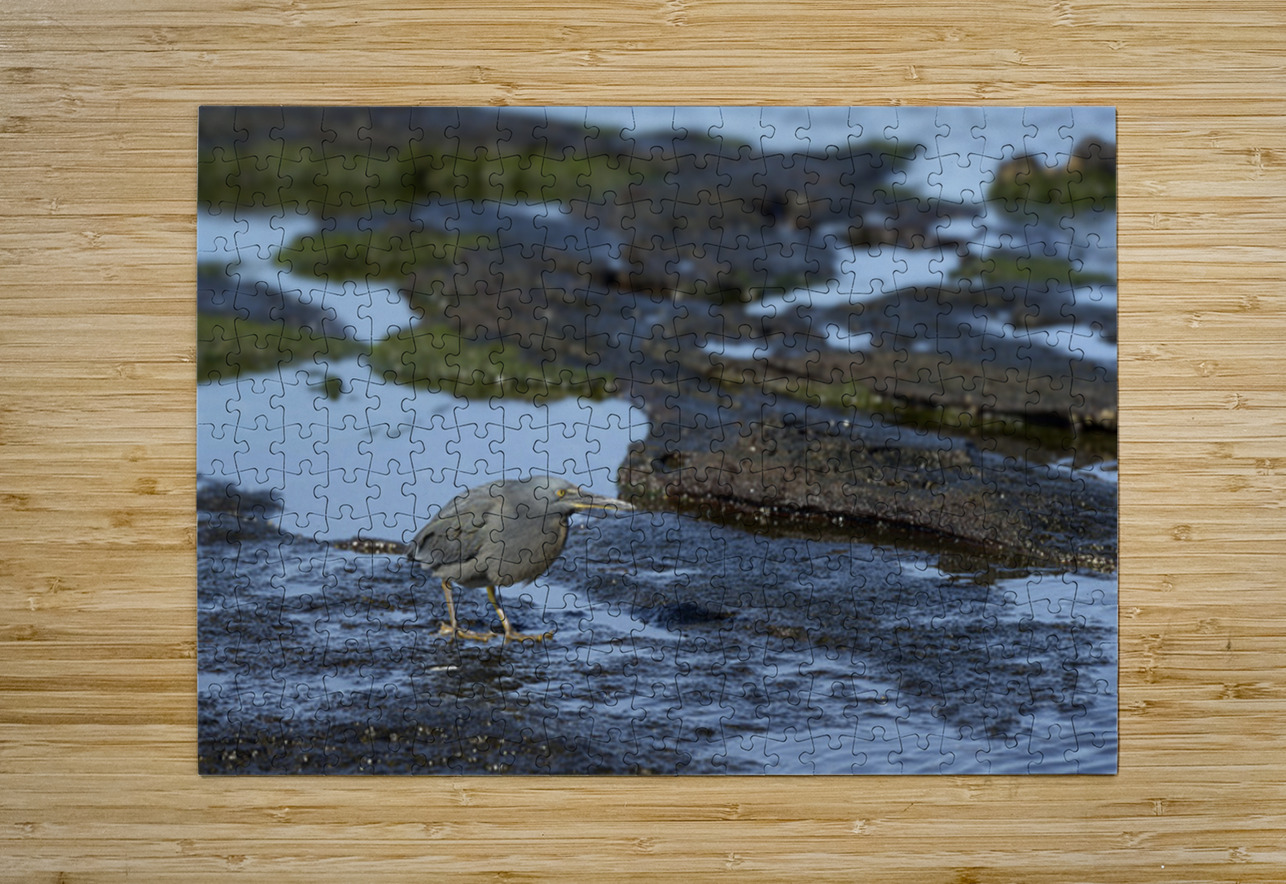 KO EC 13303a Kevin Oke Puzzle printing