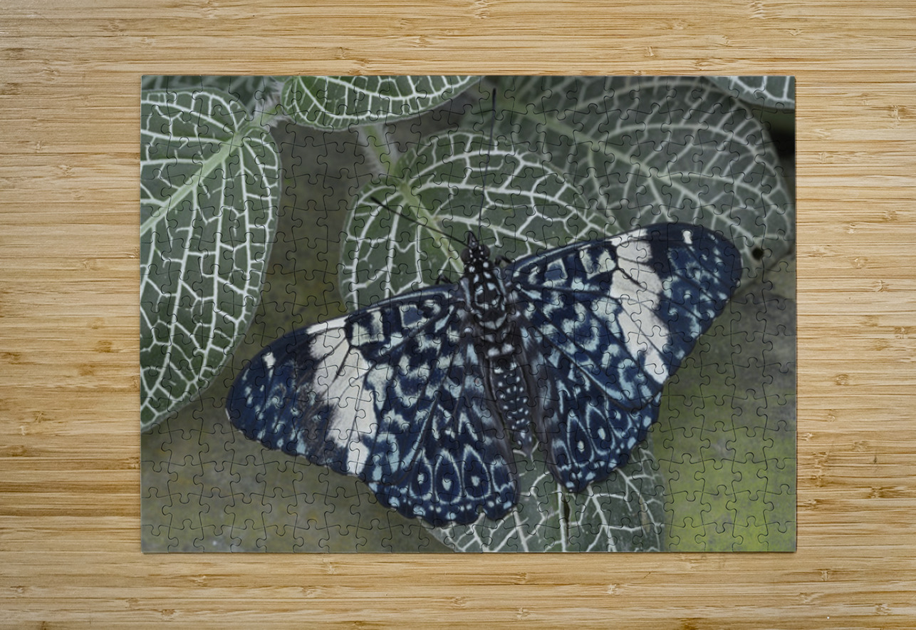 KO EC 17760 Kevin Oke Puzzle printing