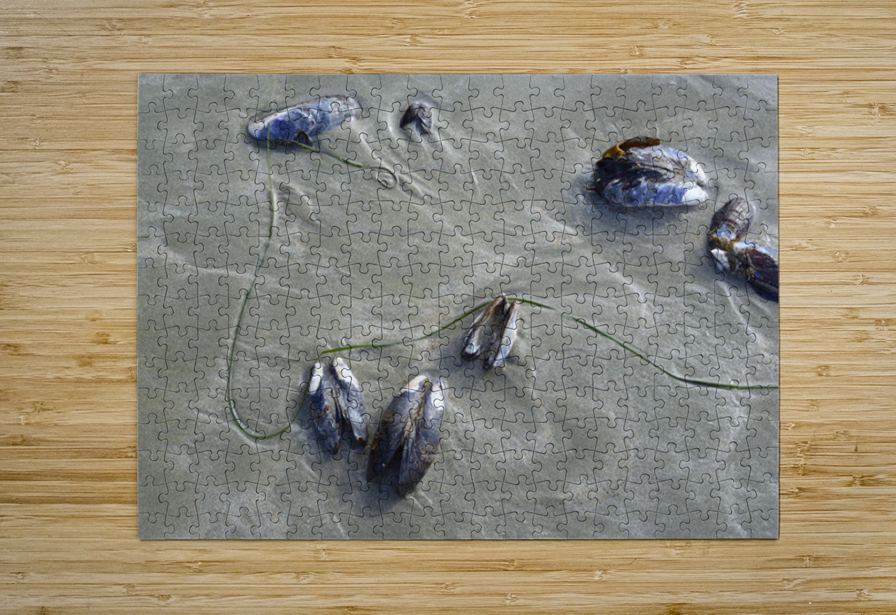 Abstract photo of mussels on the sand Chesterman Beach Kevin Oke Puzzle printing