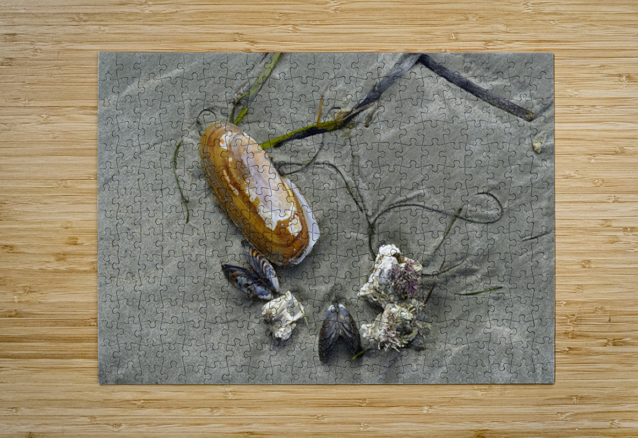 Chesterman Beach Vancouver Island British Columbia Kevin Oke Puzzle printing