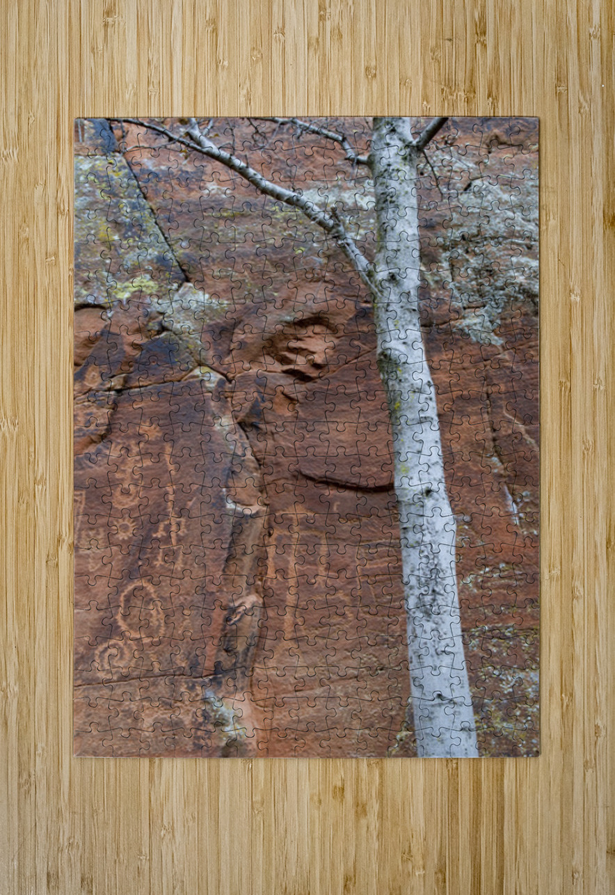 Ancient petroglyphs showcasing animal figures and geometric designs Crane Petroglyph Site Verde Valley Arizona Kevin Oke Puzzle printing