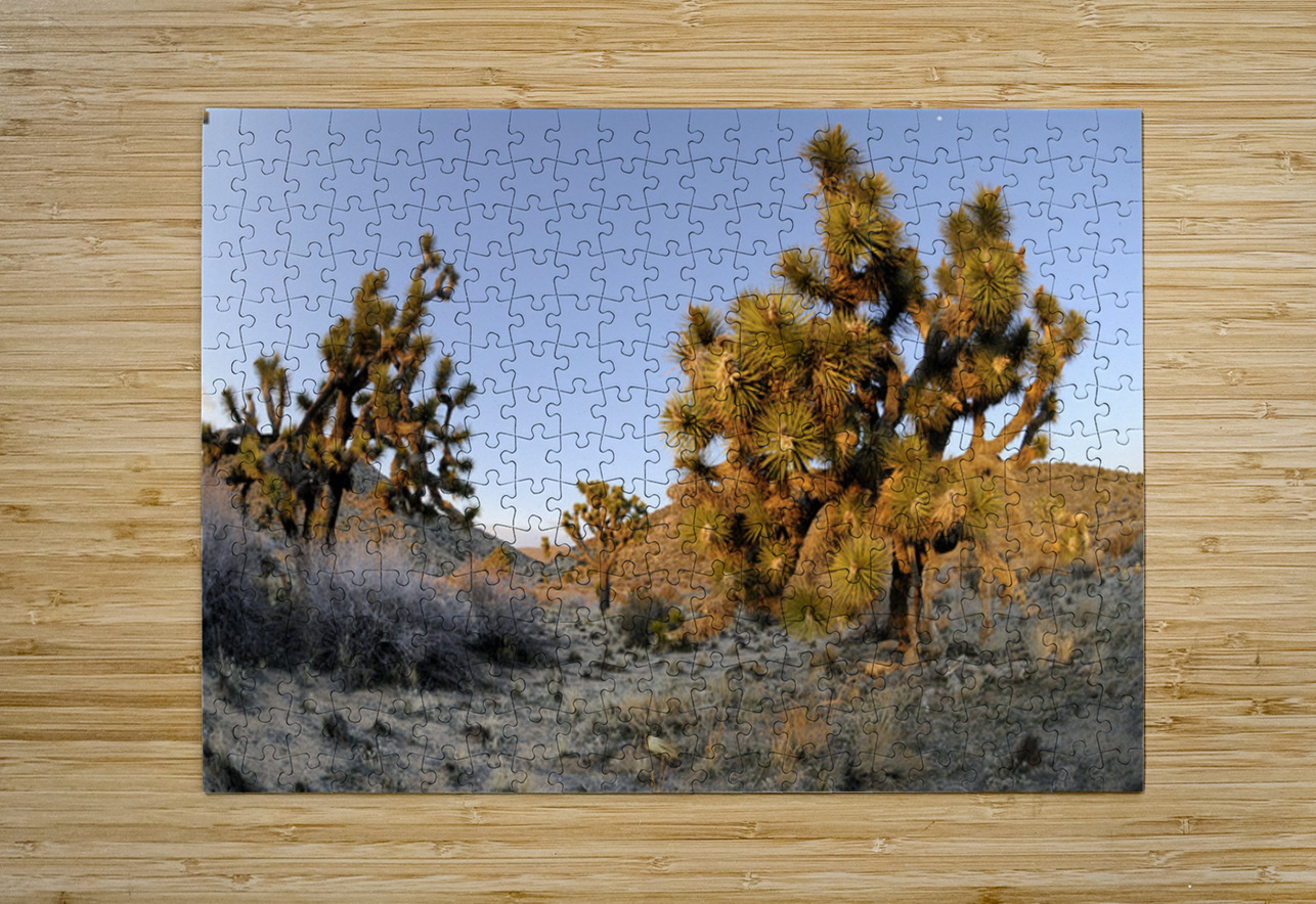 KO A11560 Kevin Oke Puzzle printing