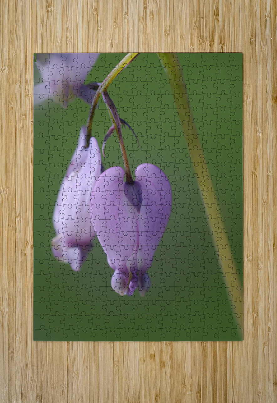 KO A48939 Kevin Oke Puzzle printing