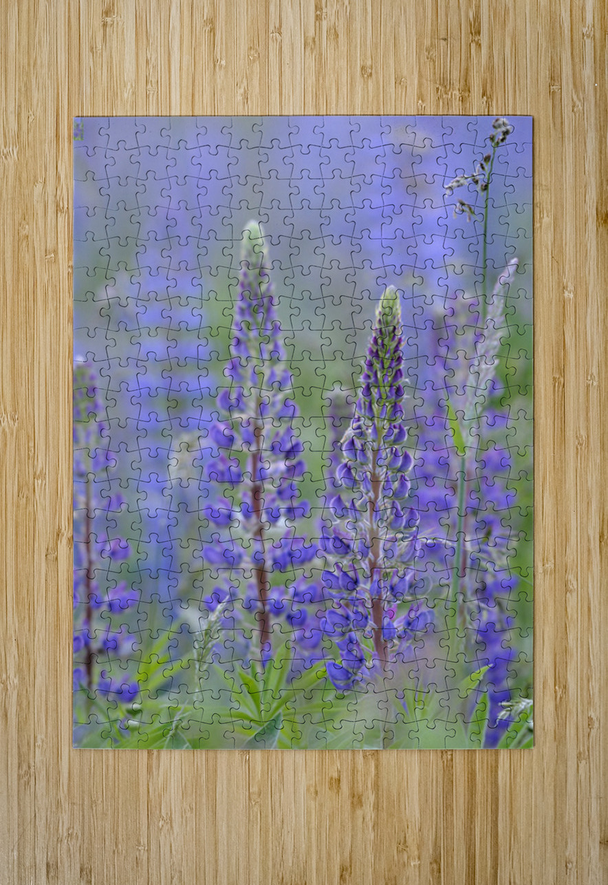 Farm in the Cowichan Valley Vancouver Island British Columbia Canada. Kevin Oke Puzzle printing