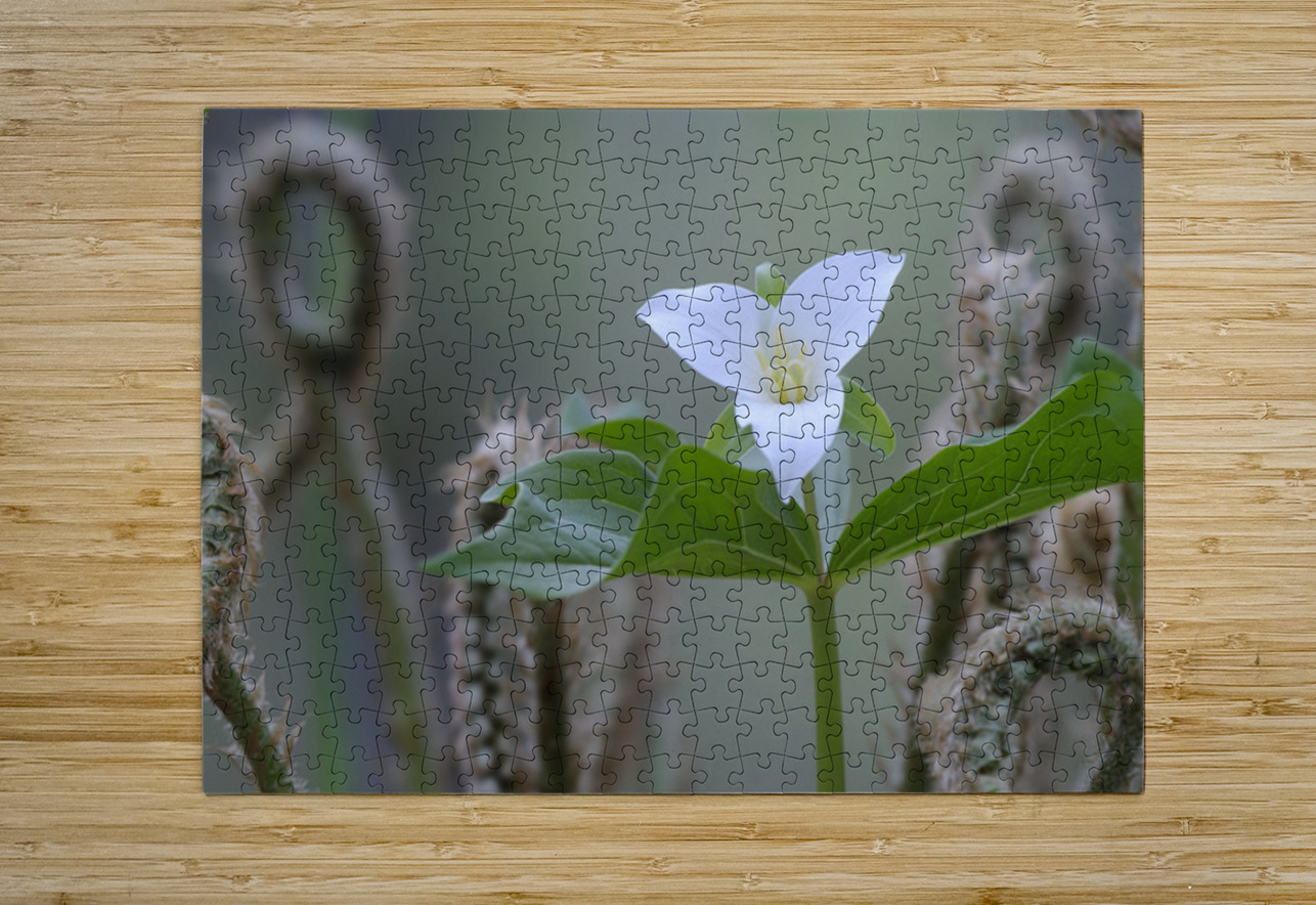 KO A17880 Kevin Oke Puzzle printing