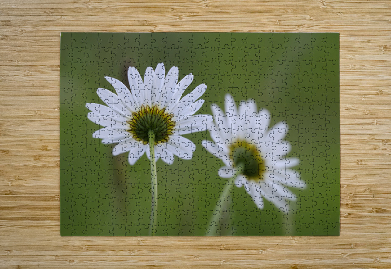 Farm in the Cowichan Valley Vancouver Island British Columbia Canada. Kevin Oke Puzzle printing