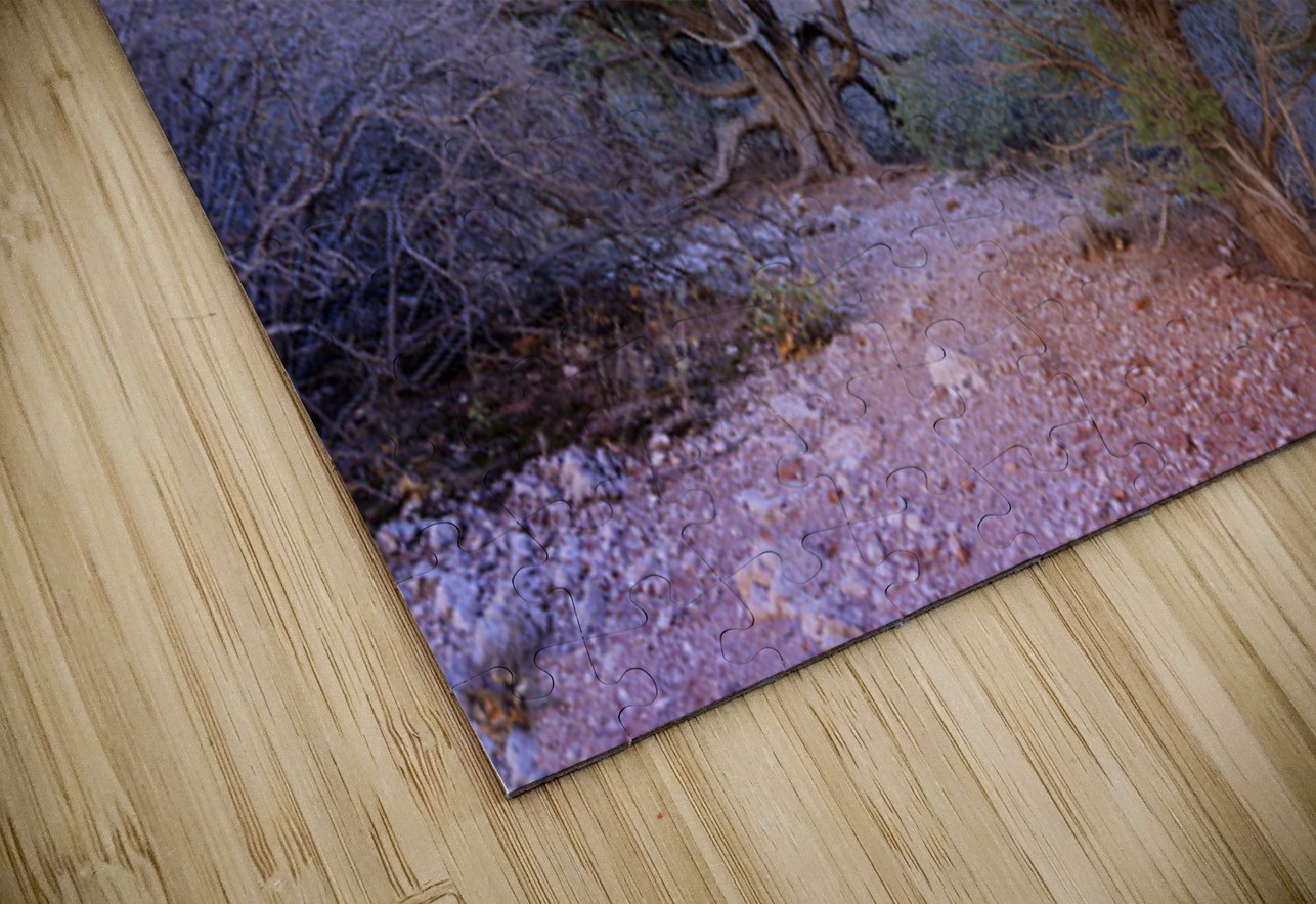 Zion National Park Utah Kevin Oke Puzzle