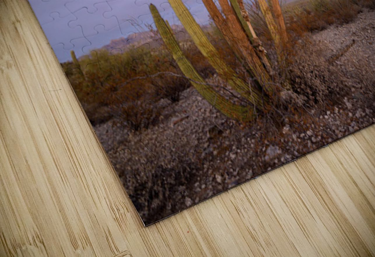 Organ Pipe Cactus Kevin Oke Puzzle