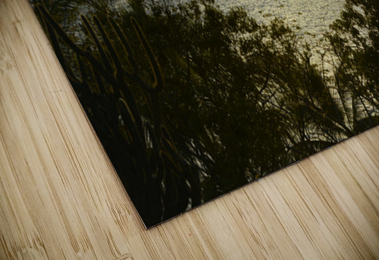 Catamarans and sailboats at the anchorage at Pussers Marina Cay Kevin Oke Puzzle