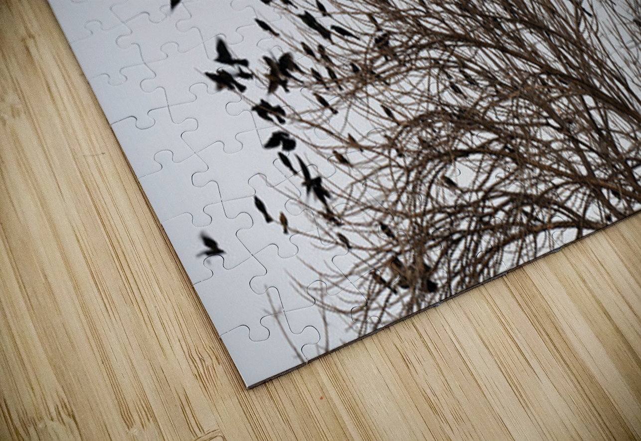 Birds in Flight Kevin Oke Puzzle