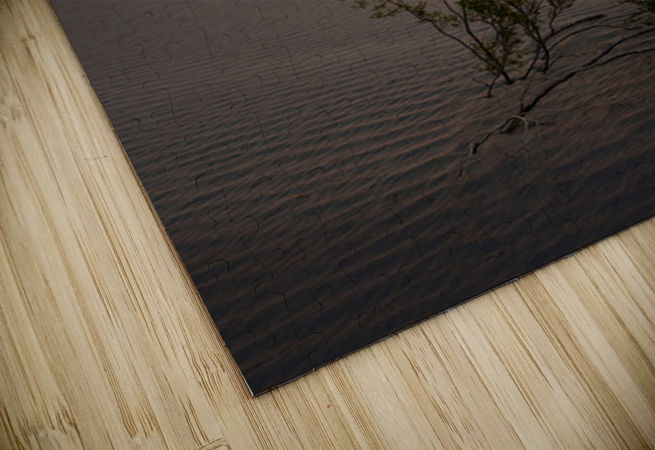 Mesquite Flat Sand Dunes Kevin Oke Puzzle