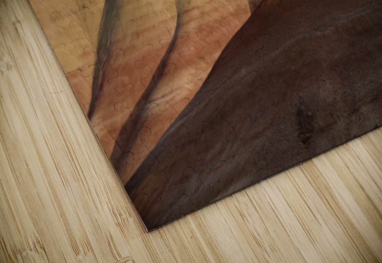 Colorful layers of sediment - John Day Fossil Beds Kevin Oke Puzzle