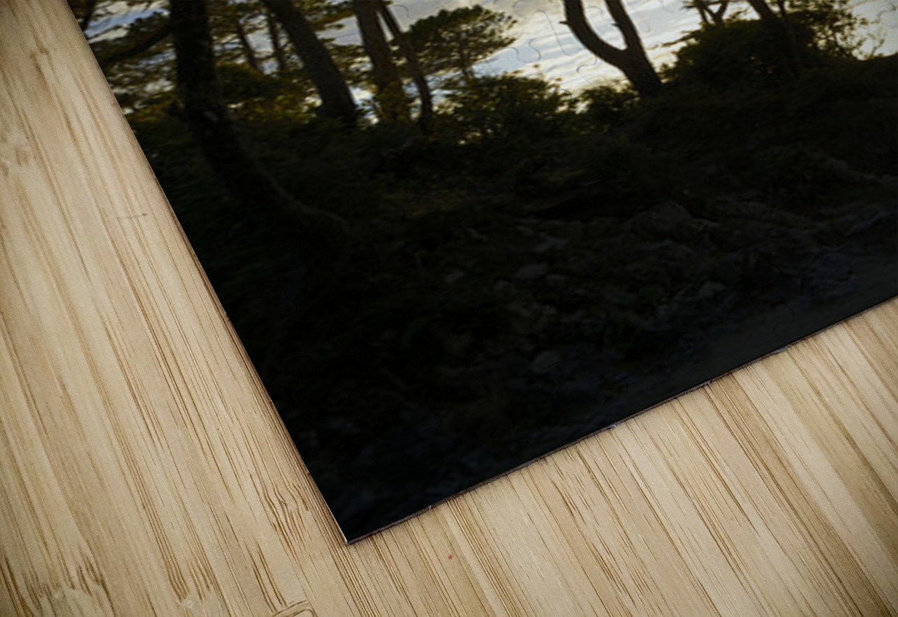 Gnarled trees at sunset Kevin Oke Puzzle