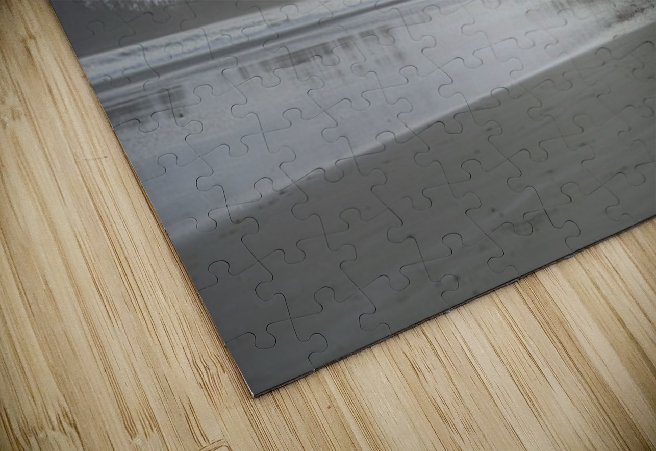 Surfing at Long Beach Kevin Oke Puzzle