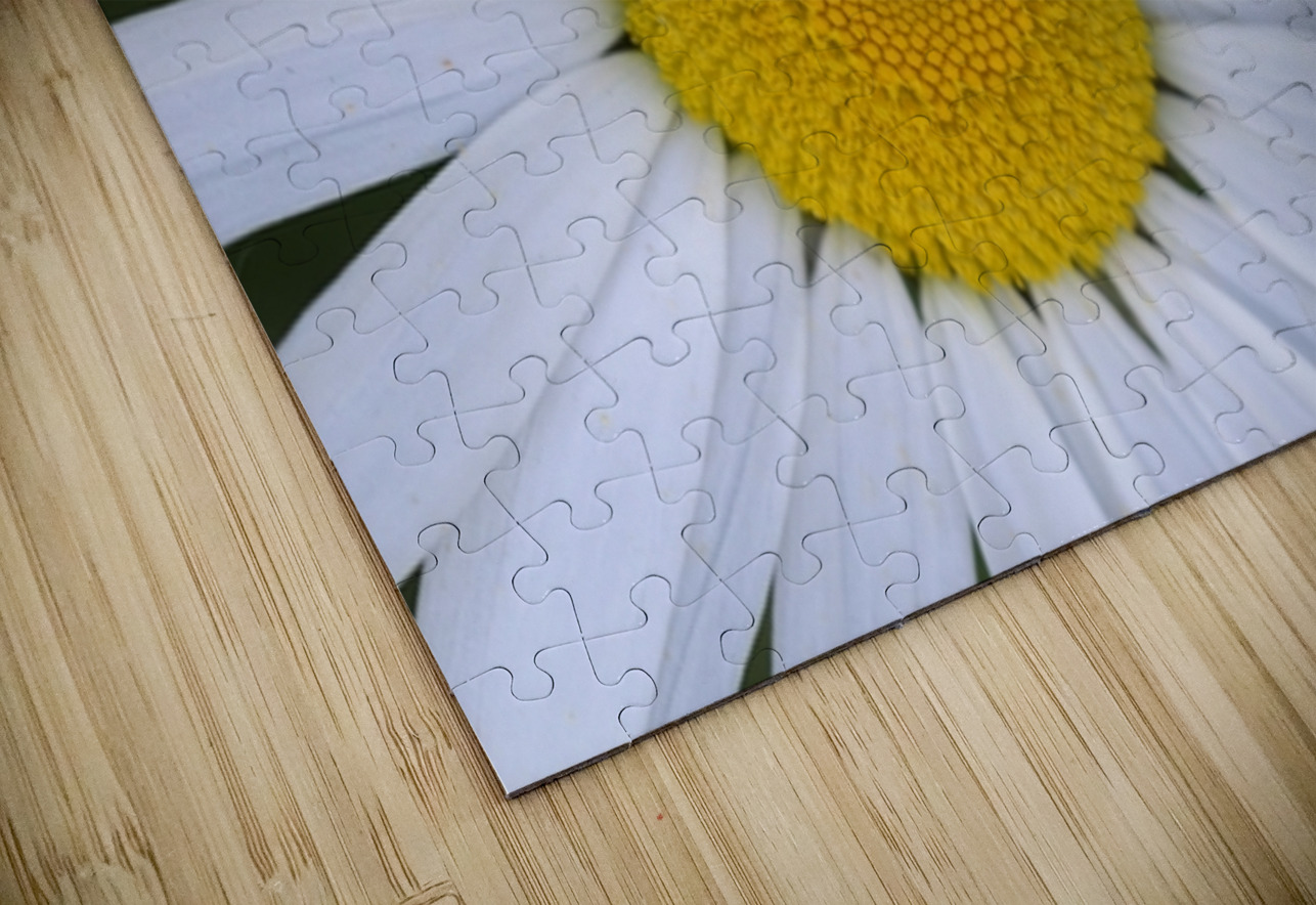 Daisy Cowichan Valley Vancouver Island British Columbia Canada Kevin Oke Puzzle