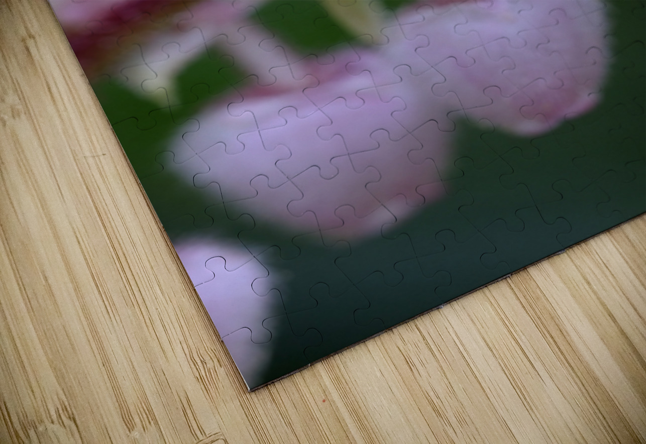 Salal Gaultheria shallon Cowichan Valley Vancouver Island British Columbia Canada Kevin Oke Puzzle