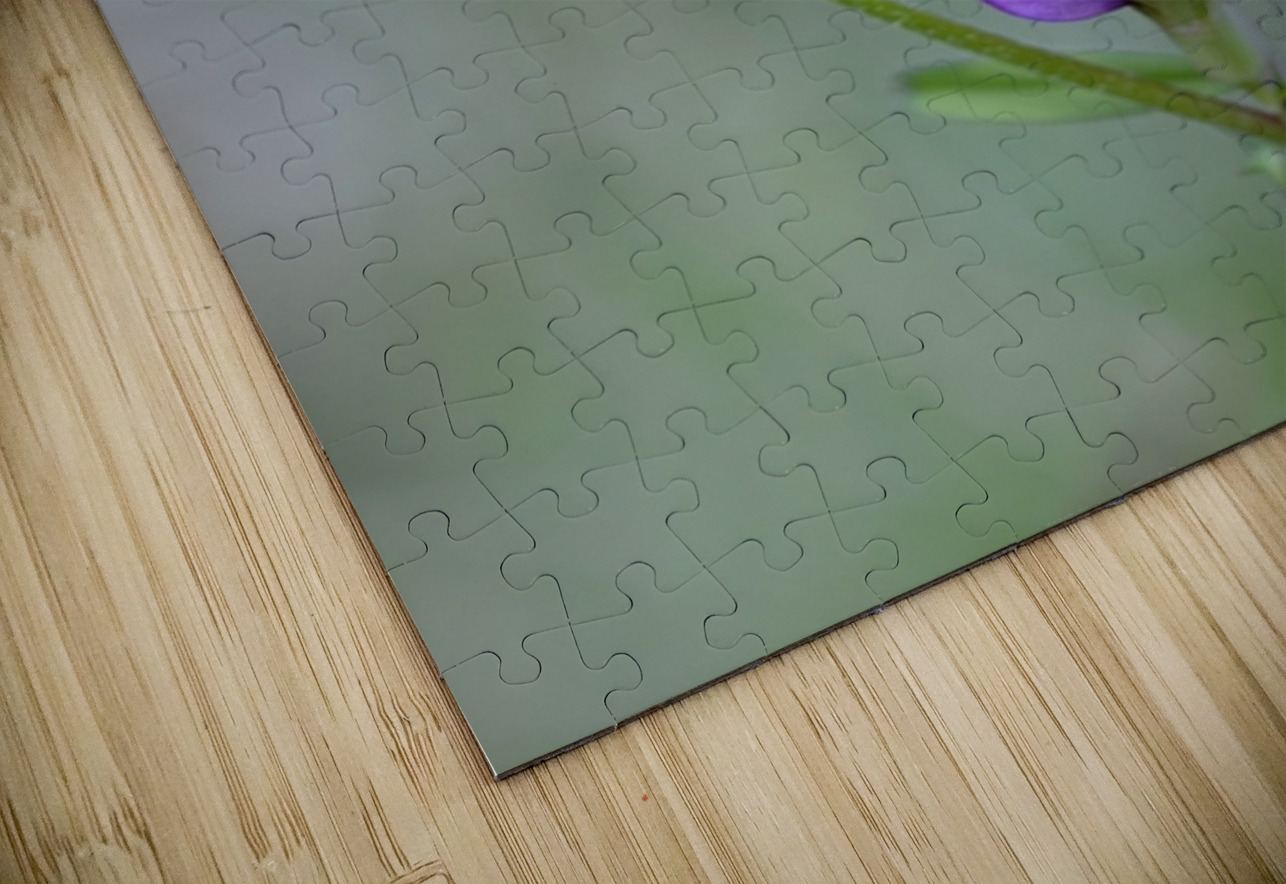 Purple wildflower Cowichan Valley Vancouver Island British Columbia Canada Kevin Oke Puzzle